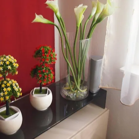 Villa Meri Very Central And Beautiful Apartment * Сплит